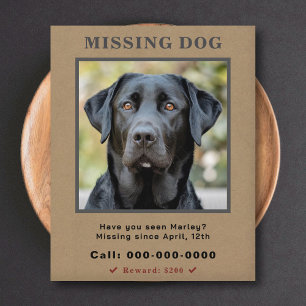 Missing Pet Custom Photo Flyer