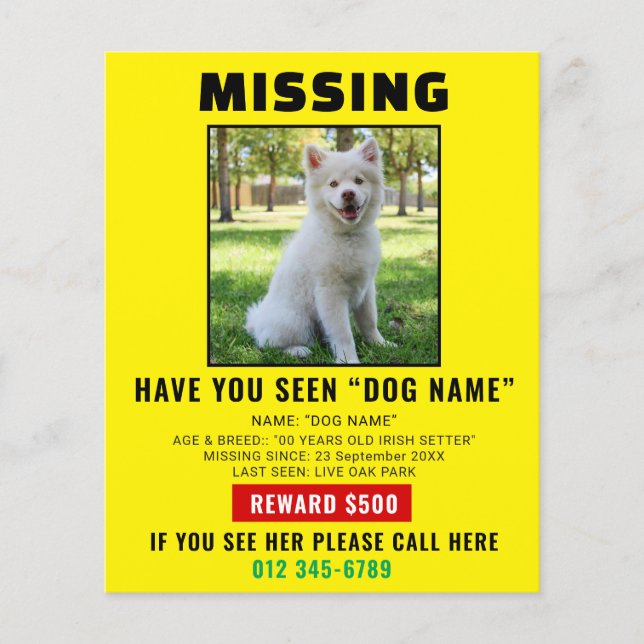 Missing Pet Dog – Urgent Template Poster Flyer (Front)