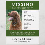 Missing Pet | Modern Green Photo Poster Flyer<br><div class="desc">A simple missing pet flyer poster template, to help spread awareness in the search of a missing dog, cat or other pet. The text is easy to personalise including name, age, breed, missing date, place last seen, reward or ther information. There is space to include a large phone number and...</div>