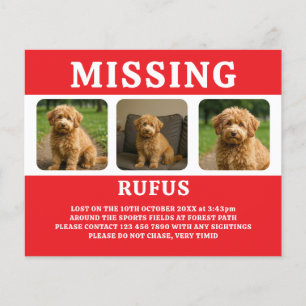 Missing Pet or Person Personalised Flyer