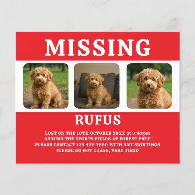Missing Pet or Person Personalised Flyer (Front)