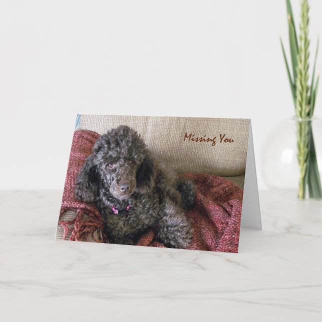 Missing You, Betty the Brown Poodle on Blanket Card (Front)