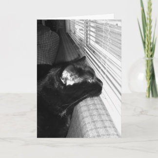 Missing You Black Cat Card