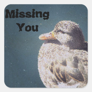 Missing You Brown Female Duck Artistic Bird Square Sticker