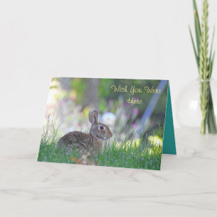 Missing You Bunny Card