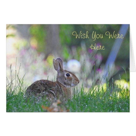 Missing You Bunny Card