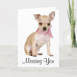 Missing You Chihuahua Puppy Dog Greeting Card