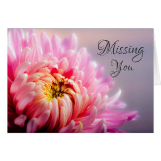 Missing You Chrysanthemum Macro Photo Note Card