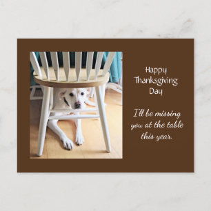 Missing You Cute White Dog Brown Thanksgiving Postcard