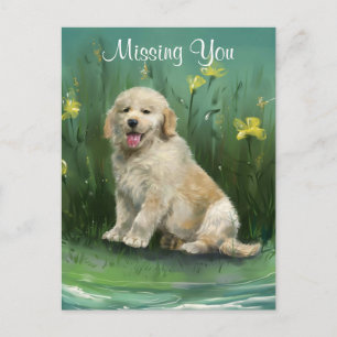 Missing You Golden Retriever Puppy Postcard