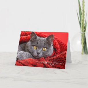 Missing You Gray Cat in a Red Knit Afghan Card