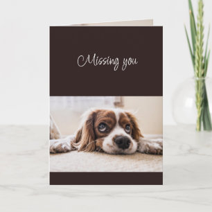 Missing You How are You Sad Lonely Cute Dog Card