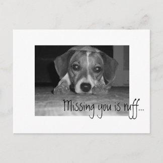 missing you is ruff!, Missing you is ruff... Postcard