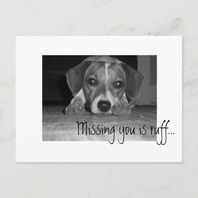 missing you is ruff!, Missing you is ruff... Postcard (Front)