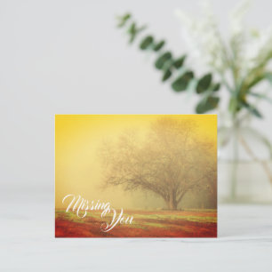 Missing You Landscape Postcard