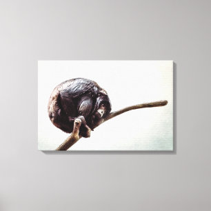 Missing You Lonely Urban Chimpanzee Monkey Canvas Print