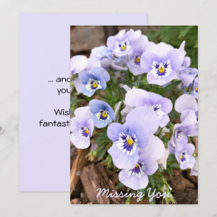 Missing You Pastel Purple Pansies Photo Custom Card