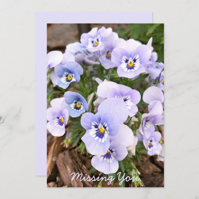 Missing You Pastel Purple Pansies Photo Custom Card (Front/Back)