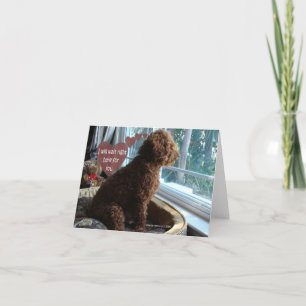 Missing You - Poodle - Card