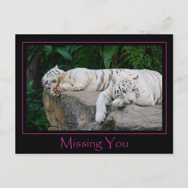 Missing You Post Card (Front)