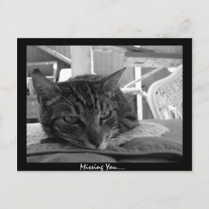 Missing You Postcard
