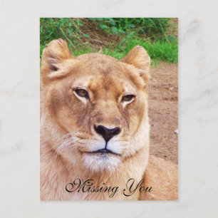 Missing You_ Postcard