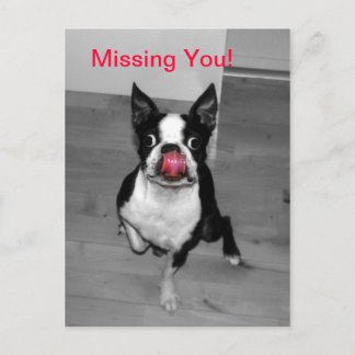 Missing You Postcard