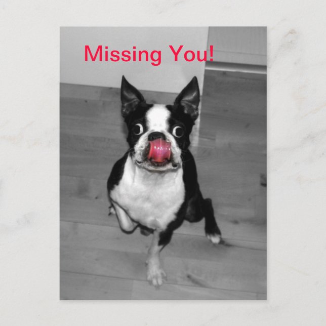 Missing You Postcard (Front)