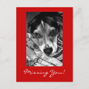 Missing You! Postcard