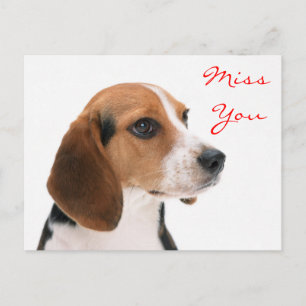 Missing You Puppy Dog Postcard