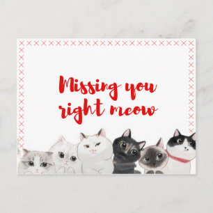 Missing You Right Meow Postcard