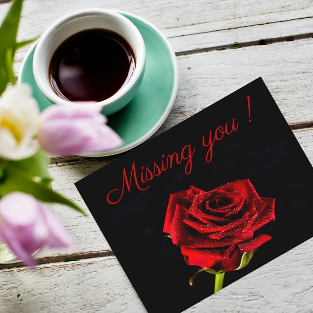 Missing you romantic red rose photo personalised postcard (Creator Uploaded)