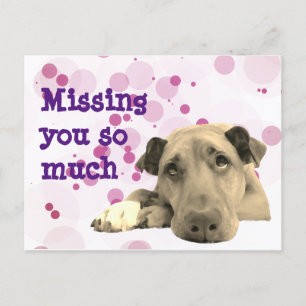 Missing you sad dog postcard