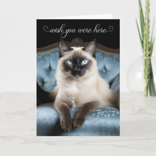 Missing You Siamese Cat on a Blue Chair Card