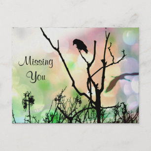 Missing You, The Lonely Crow Postcard