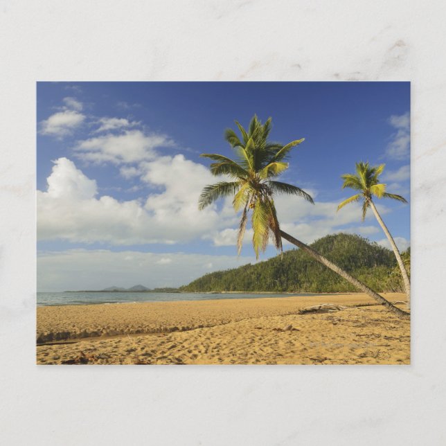 Mission Beach Postcard (Front)