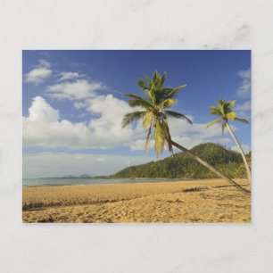 Mission Beach Postcard