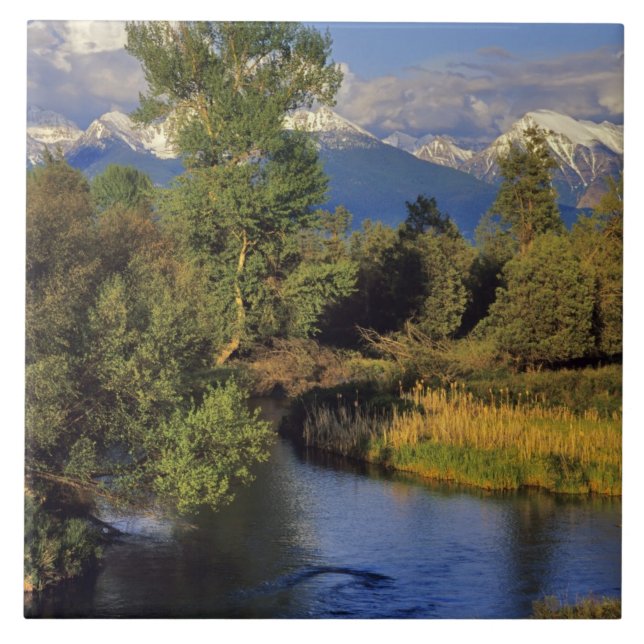 Mission Creek in the National Bison Range in Tile (Front)