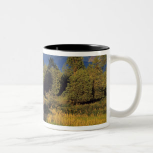 Mission Creek in the National Bison Range in Two-Tone Coffee Mug