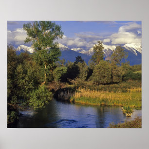 Mission Creek runs through the National Bison Poster