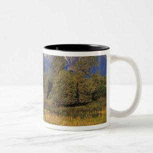 Mission Creek runs through the National Bison Two-Tone Coffee Mug