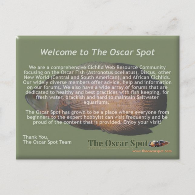 Mission Statement Postcard (Front)