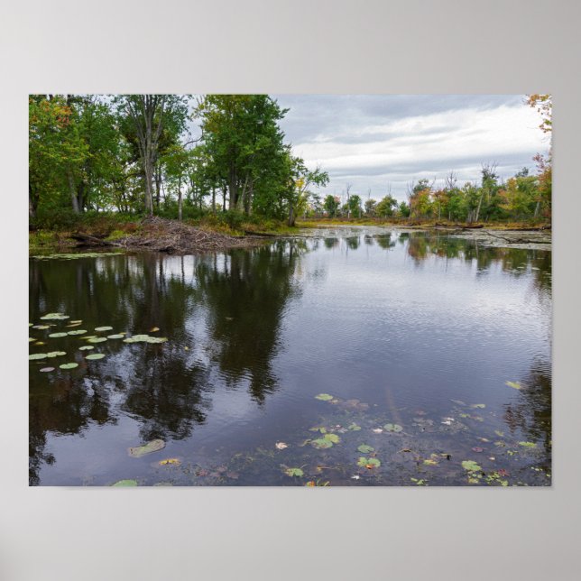 missisquoi river through wildlife refuge poster (Front)