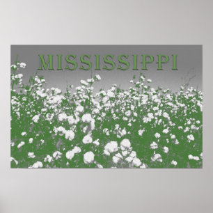 Mississippi Cotton Poster