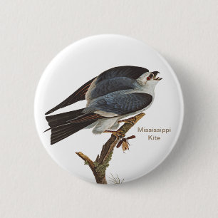 Mississippi Kite, Audubon, Birdwatcher Birder, 6 Cm Round Badge