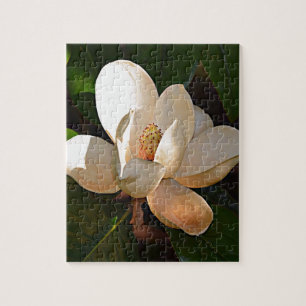 Mississippi Magnolia Jigsaw Puzzle