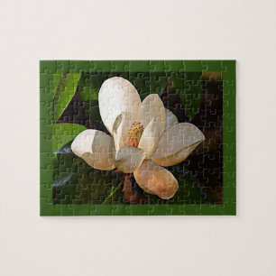 Mississippi Magnolia Jigsaw Puzzle