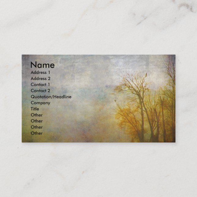 Mississippi River Business Card (Front)