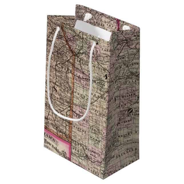 Missouri 7 small gift bag (Back Angled)