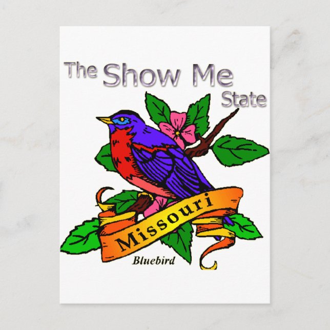 Missouri Show Me Bluebird Postcard (Front)